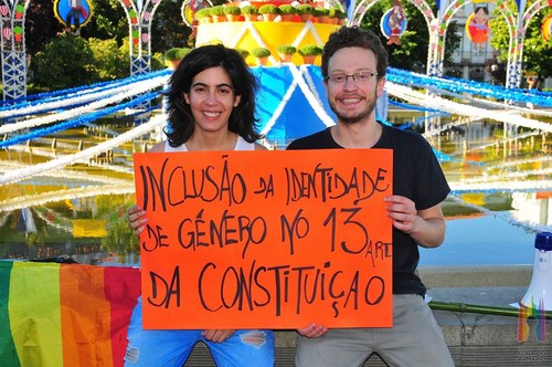 trans no artigo  13 da constituição.jpg