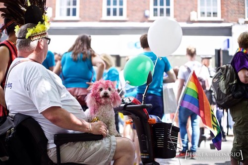 london pride 2015 parade 6.jpg