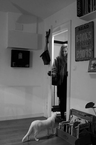 Desigualdades Inês Monteiro Daniela Beiçudo Lisb