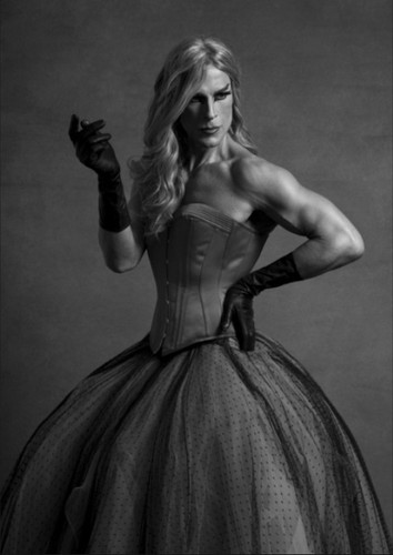 Gineceu Androceu_Paulo Pires.jpg