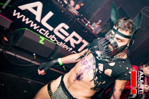 Max The Pup no Club Alert.jpg