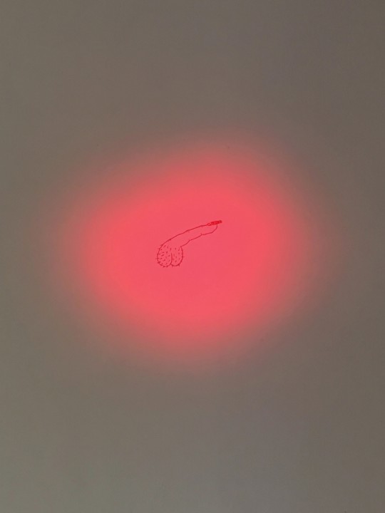 Indicador, desenho e luz.jpeg