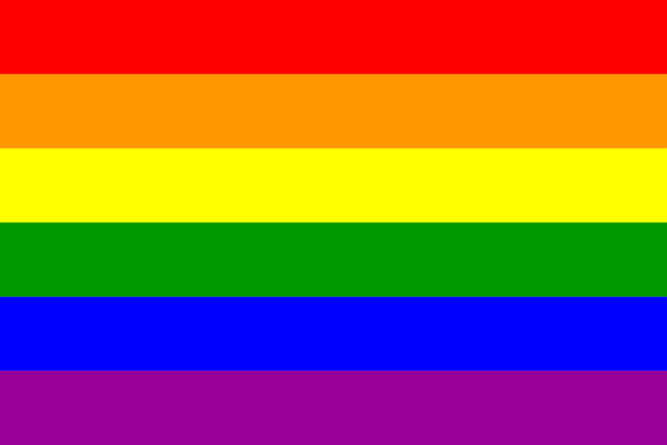 gay flag bandeira arco-iris.png