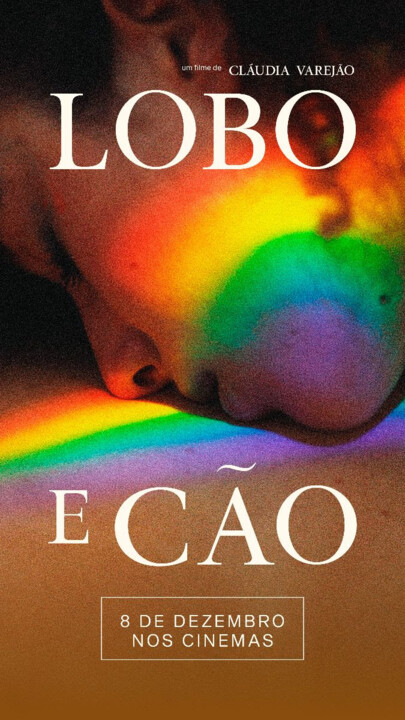lobo e cão.